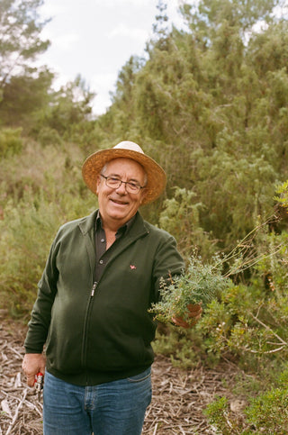 How Hierbas Is Made: Ancient Secrets of Ibiza's Spirit